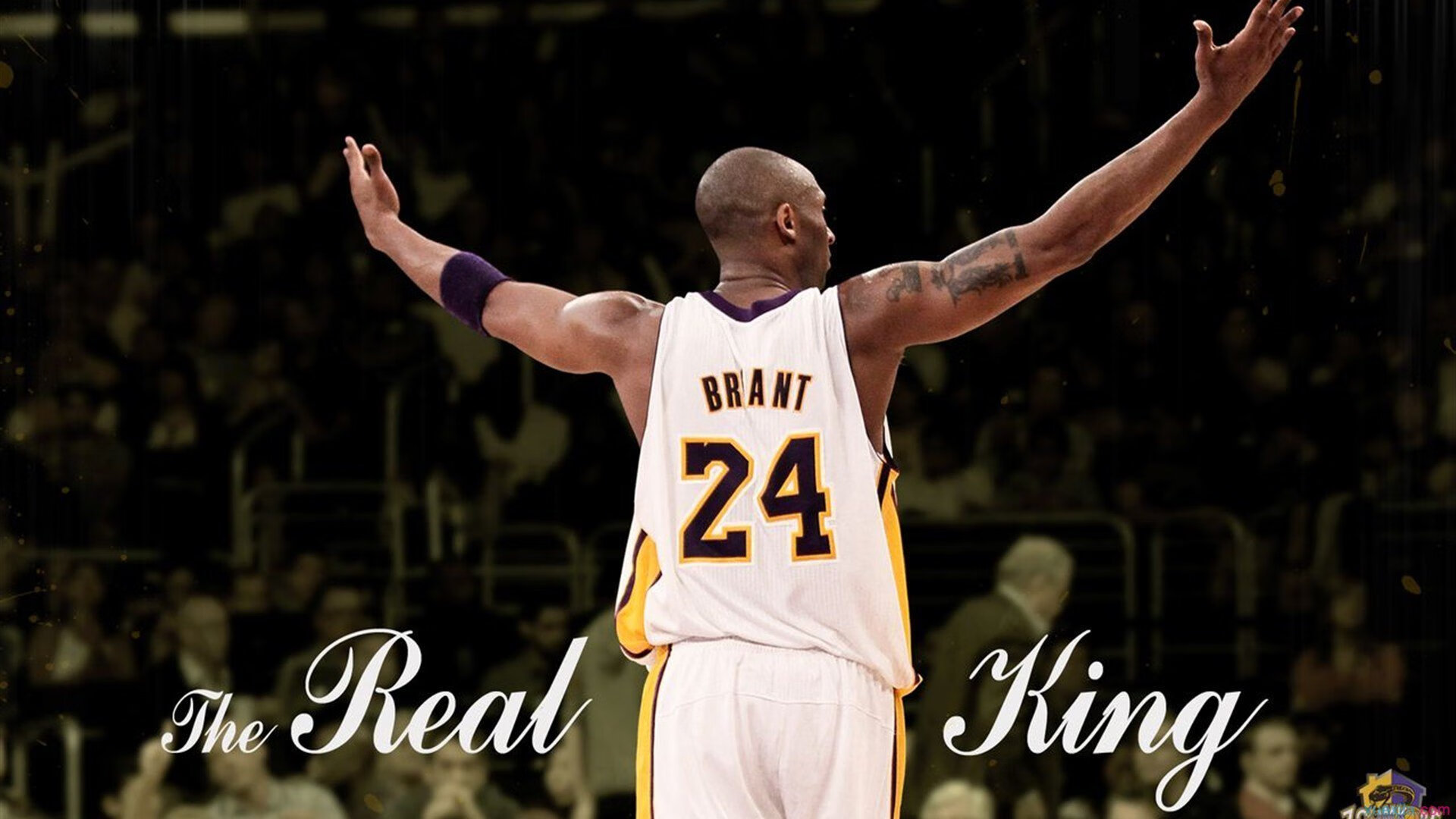 歐冠盃之巔：巴西篮球巨星騰雲駕霧挑戰歐洲職業聯賽，巴西2020欧洲杯