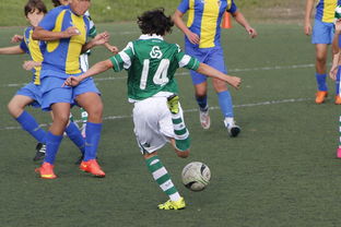 开云体育平台-中国足球外援依赖度趋势分析，中国足球外援依赖度趋势分析图