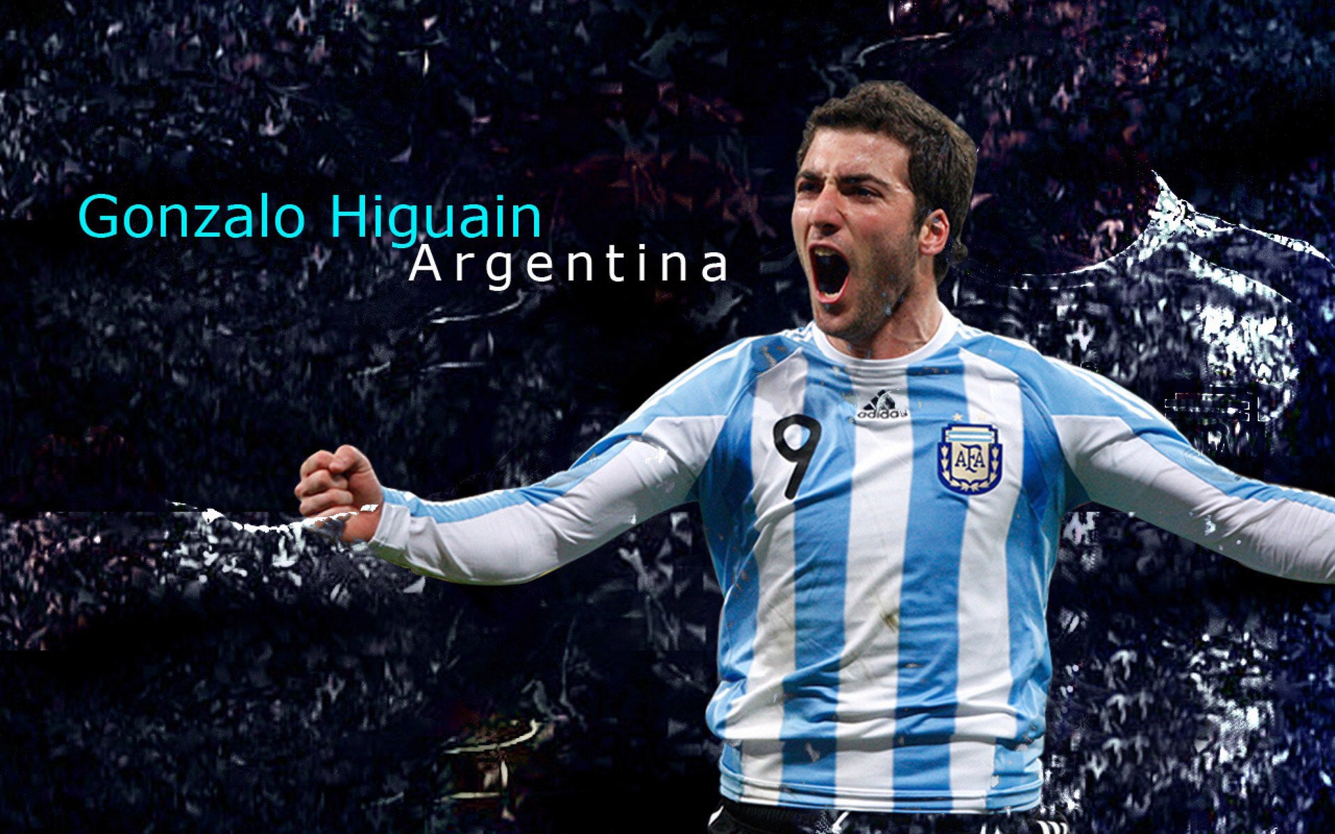 克罗地亚马术协会举办马匹护理培训班,提高骑手护理技能。