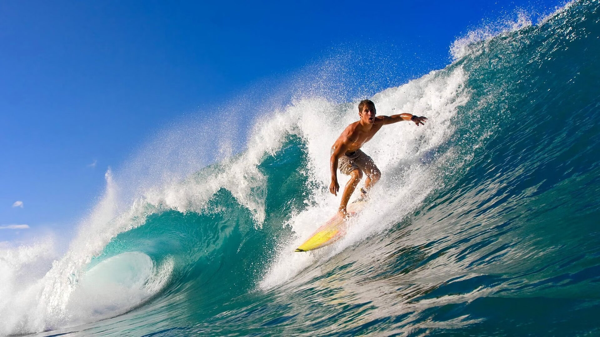 年终盘点:那些令人难以忘怀的WRC高光时刻,wrc高清