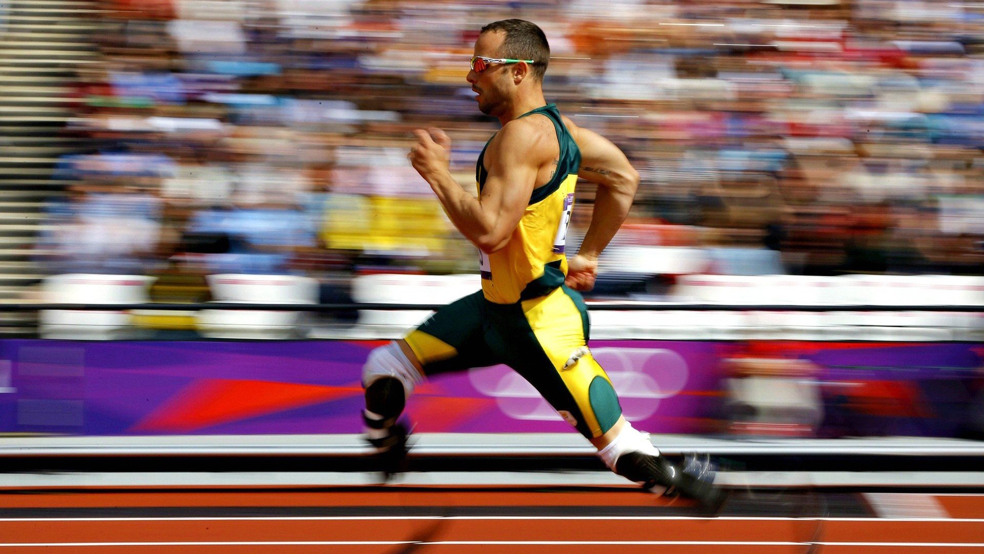 新建球场背后的秘密：投资与未来规划，新建足球场